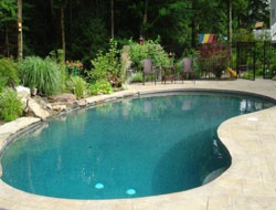 Bean Shaped Pool Manufacturer in Surat