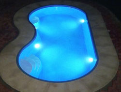 Bean Shaped Pool Manufacturer in Surat