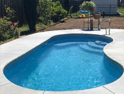 Kidney Shaped Swimming Pools Manufacturer in Surat